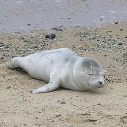 2790365510 d9137db6c7