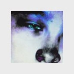 11372447 404340553085955 389637891 a