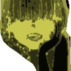 Swampgirl blackngold cropped