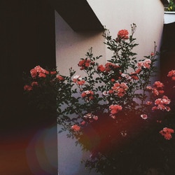 Tumblr nrlwyrw0351uwbigko1 500