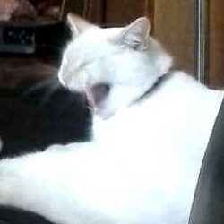 10156049 605279202909775 1492865891430884142 n