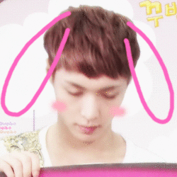 Bunny lay