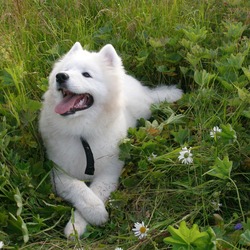 Tumblr nfhul8nusv1u3o101o1 1280