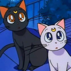 Tumblr lzzlooxkfl1r6c5nzo1 400