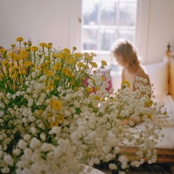 Tumblr noaj4wmaic1qm1l9go1 540