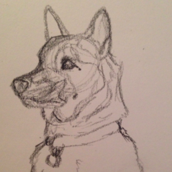 Screen shot 2020 02 06 at 10.41.42 pm