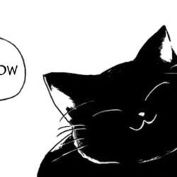 Tumblr mrif93bdue1r5n34uo1 500