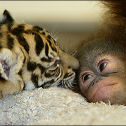  42623695 out3 416 ap