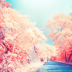 Tumblr mddbu787jd1qf7e5no7 250