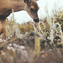 Tumblr mr2f9odh2c1qaqtcro1 1280