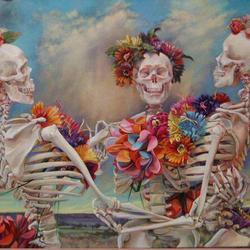 533719 477996265600640 2085860477 n