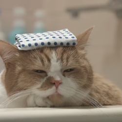 Tumblr o037rdjdpx1utrf7no2 1280