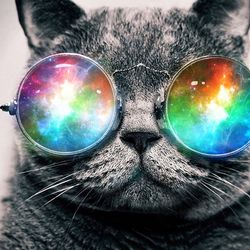 9497b63afee3ec80490179186876fc06