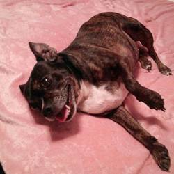 Resized jpeg 1467240624280 646989386