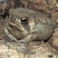 Tumblr inline orci95kazz1rg2h6f 540