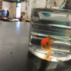 7ef507d1 4a5e 4d4d b9be 8846cee46006