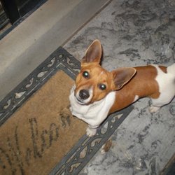 1931146 1049207395504 9518 n