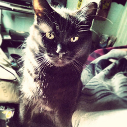 03f28f99 dae2 4647 95c2 7aa557c33abd