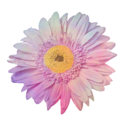 Tumblr static b3r20255b280k4k44cc8gsg04