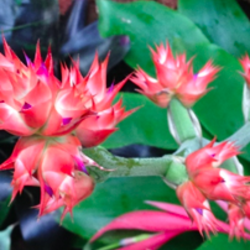 Screen shot 2015 04 13 at 11.18.22 am