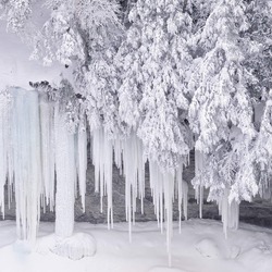 Icicles