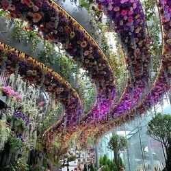 67752014 3107540059284383 7020675222760062976 n