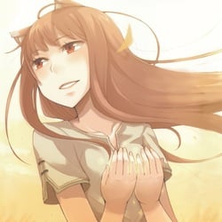 Spice and wolf