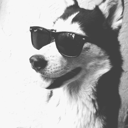 Tumblr mzbpwgtqub1r3wezro1 500