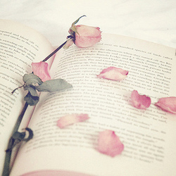 Tumblr lk8rexal7v1qc0khfo1 500