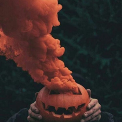 Bcd63a5a 6076 4983 b059 c125802bbb88