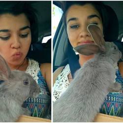 11665489 966889080022293 7587688806494948173 n