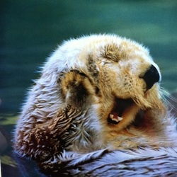 Tumblr mhvaaxxkae1qlywlko1 500