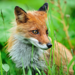 5d5eceb3 995b 4403 8df5 f9d01ceed7c0 5