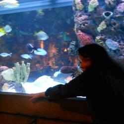 1175663 3374724342701 1093783396 n