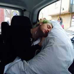 Cuddly clifford