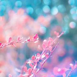 292957 435379143180201 362811800 n