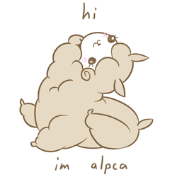 Hialpaca