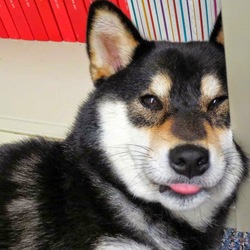 Tumblr n6xcp1arqn1qb1xf7o2 1280