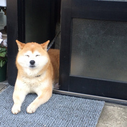 Tumblr n9u59r4ftt1th0lvfo2 500