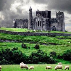 537068 511571202221399 1029494702 n