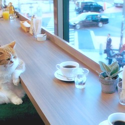 Tumblr ngmhphkbp61qzvc2yo1 1280