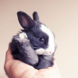 Tumblr nvaqwcqzis1u6jismo6 1280