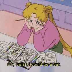 8a85998f 95b3 45cb a360 e76a868dfcda