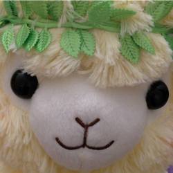 1011732 648116001895063 528451669 n