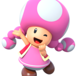 Toadette   mp10