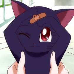 Tumblr inline nu895zhgsh1suufvg 540