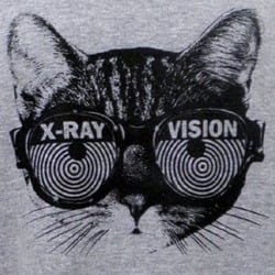 Cat x ray