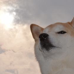 Tumblr mzk8lhr85g1qb1xf7o1 500