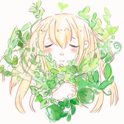 B90771be1fdbc2067c304004d2b76d02