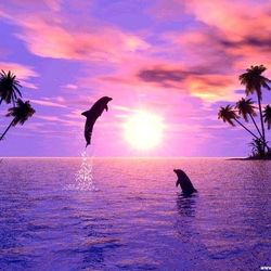 965cfd6f 677e 46f4 8437 5c76e355b742